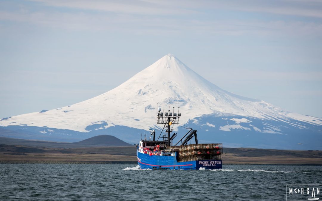 MORGANE EN ALASKA
