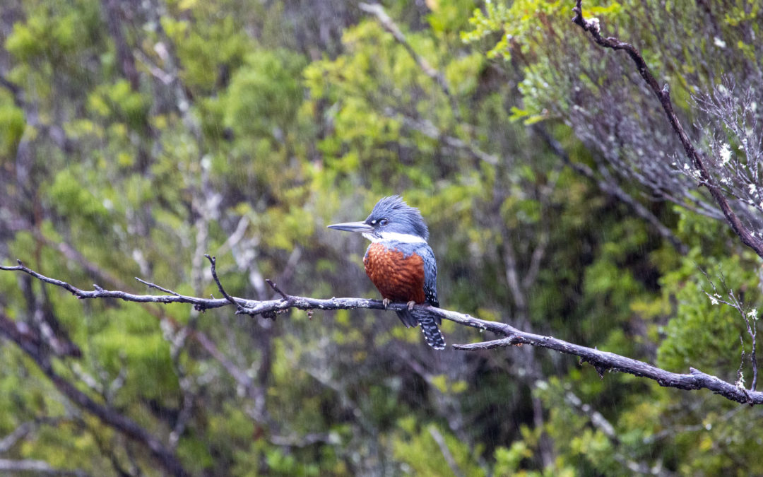 ET SOUDAIN LES PLANS CHANGENT