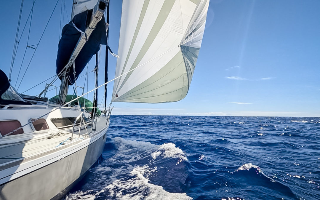TRANSPAC 2026
